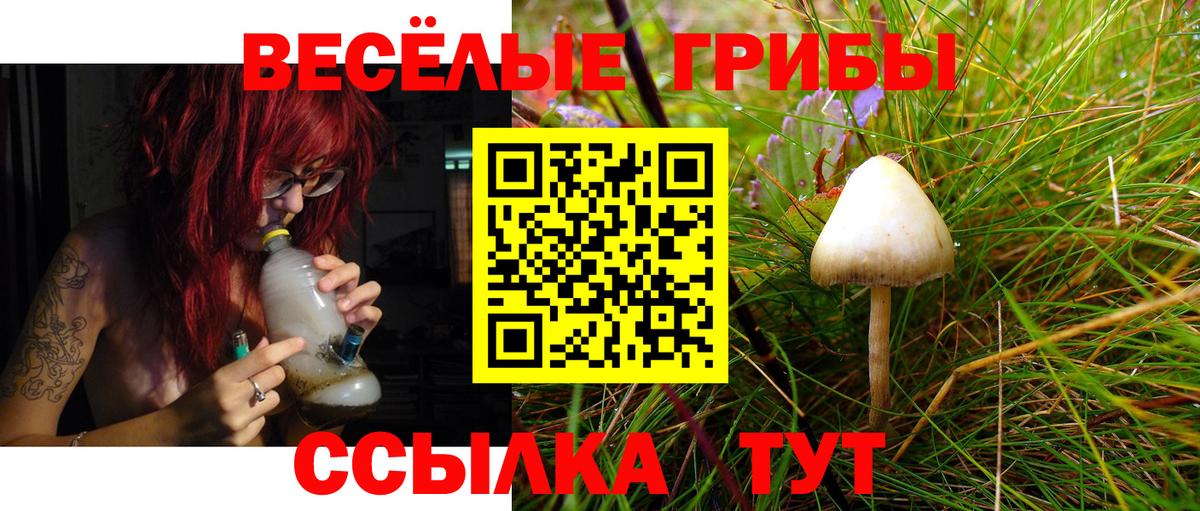 Псилоцибиновые грибы MAGIC MUSHROOMS Чистополь